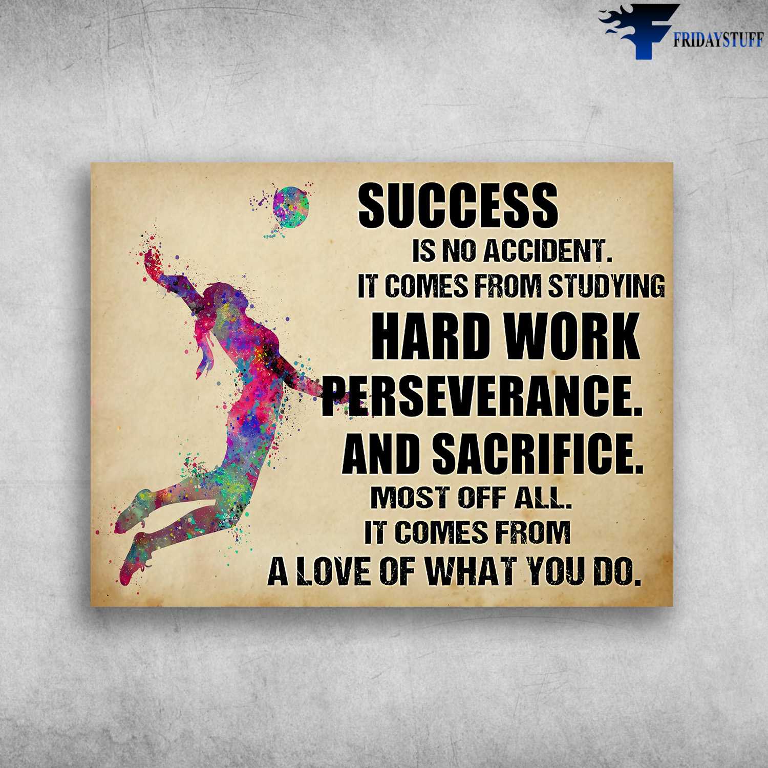 Volleyball Poster, Volleyball Lover - Success Is No Accident, It Comes From Studying, Hard Work Perseverance, And Sacrifice
