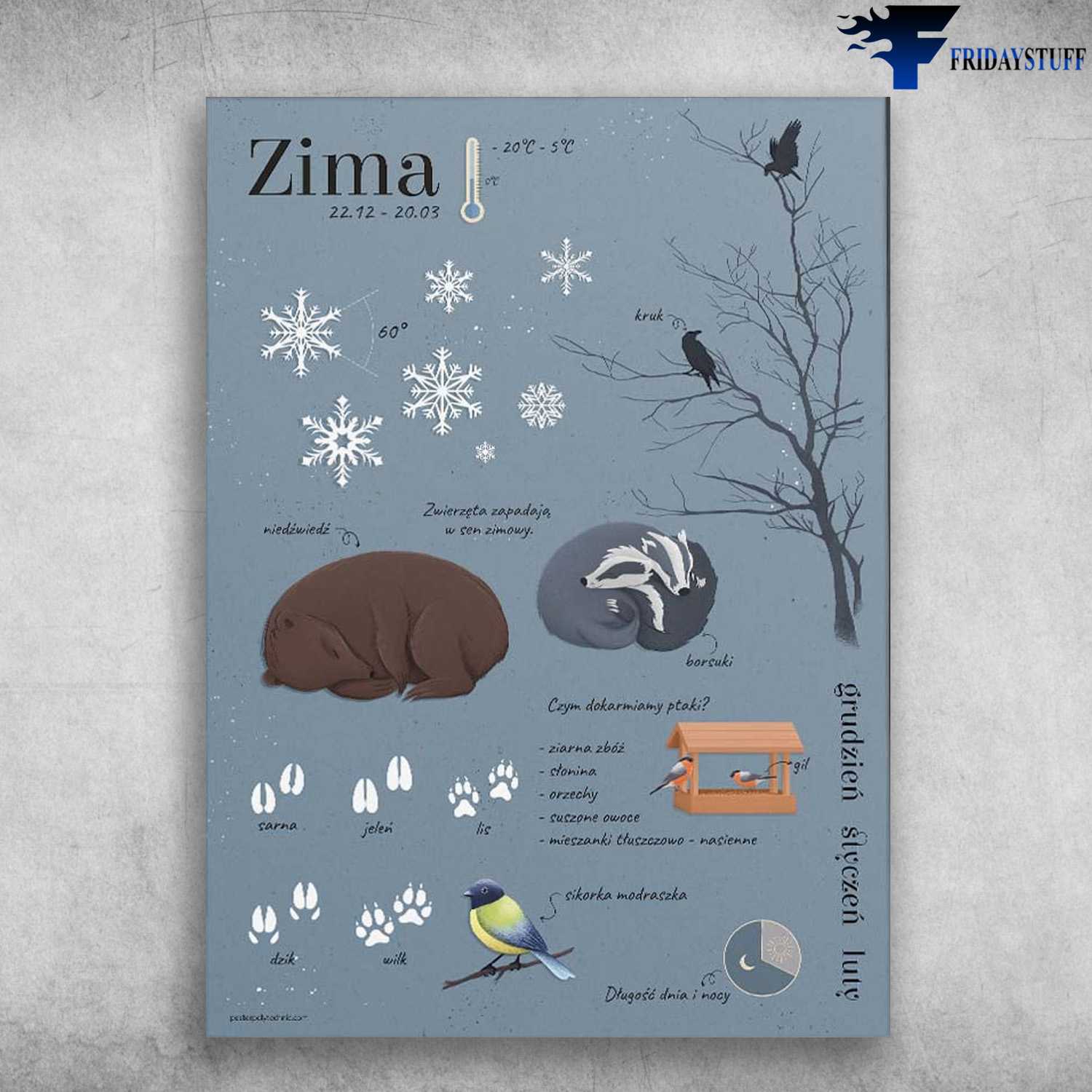 Zima Knowledge, Winter Knowledge, Recognize Animals