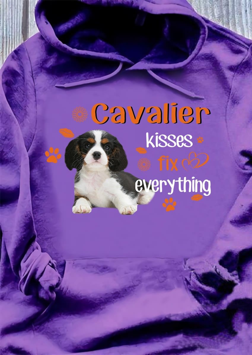 Cavalier Dog - Cavalier kisses fix everything