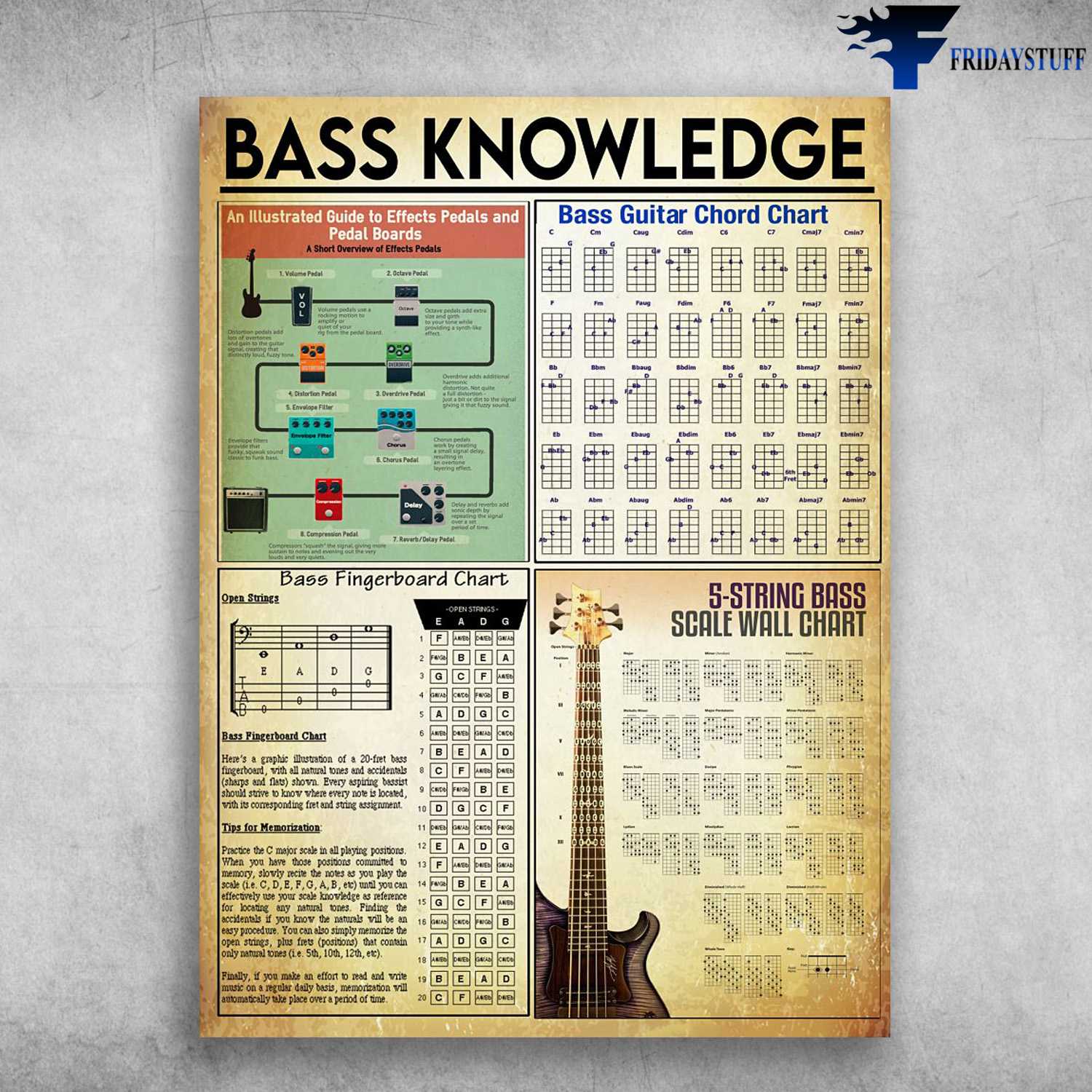 Bass Knowledge, Bass Player, Bass Guitar Lover, Bass Fingerboard Chart