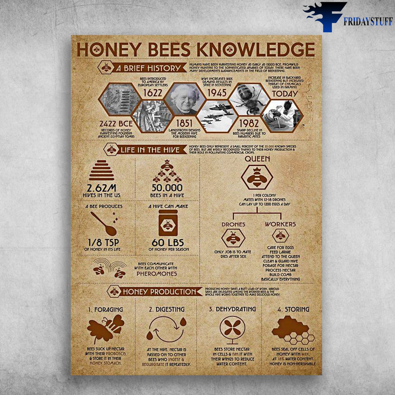 Honey Bees Knowledge, History Of Honney, Bee Keeper, Honey Production