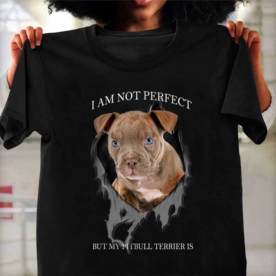 I am not perfect but my Pitbull terrier is - Perfect pitbull terrier, gift for dog lover