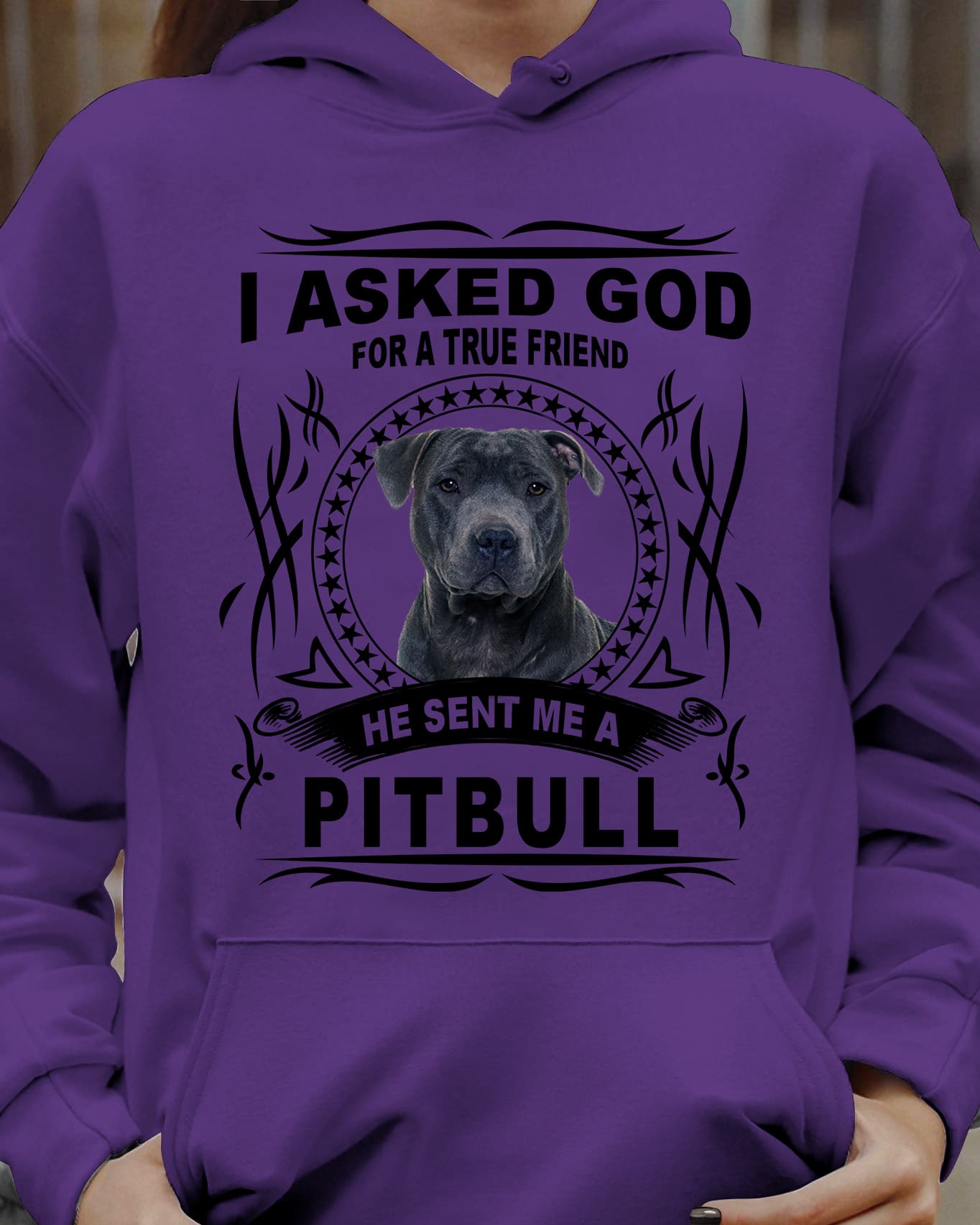 I asked God for a true friend he sent me a Pitbull - Pitbull graphic T-shirt, God and Pitbull