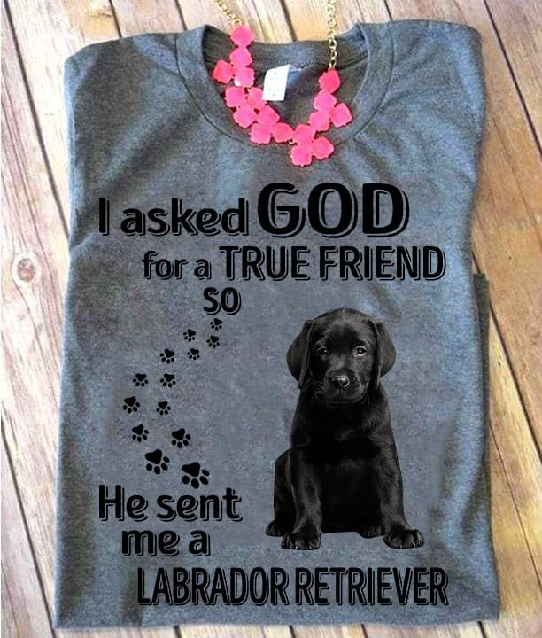 I asked God for a true friend so he sent me a Labrador retriever - Black labrador puppyI asked God for a true friend so he sent me a Labrador retriever - Black labrador puppy