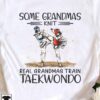 Some grandmas knit, real grandmas train taekwondo - Taekwondo trainer T-shirt, gift for strong grandma