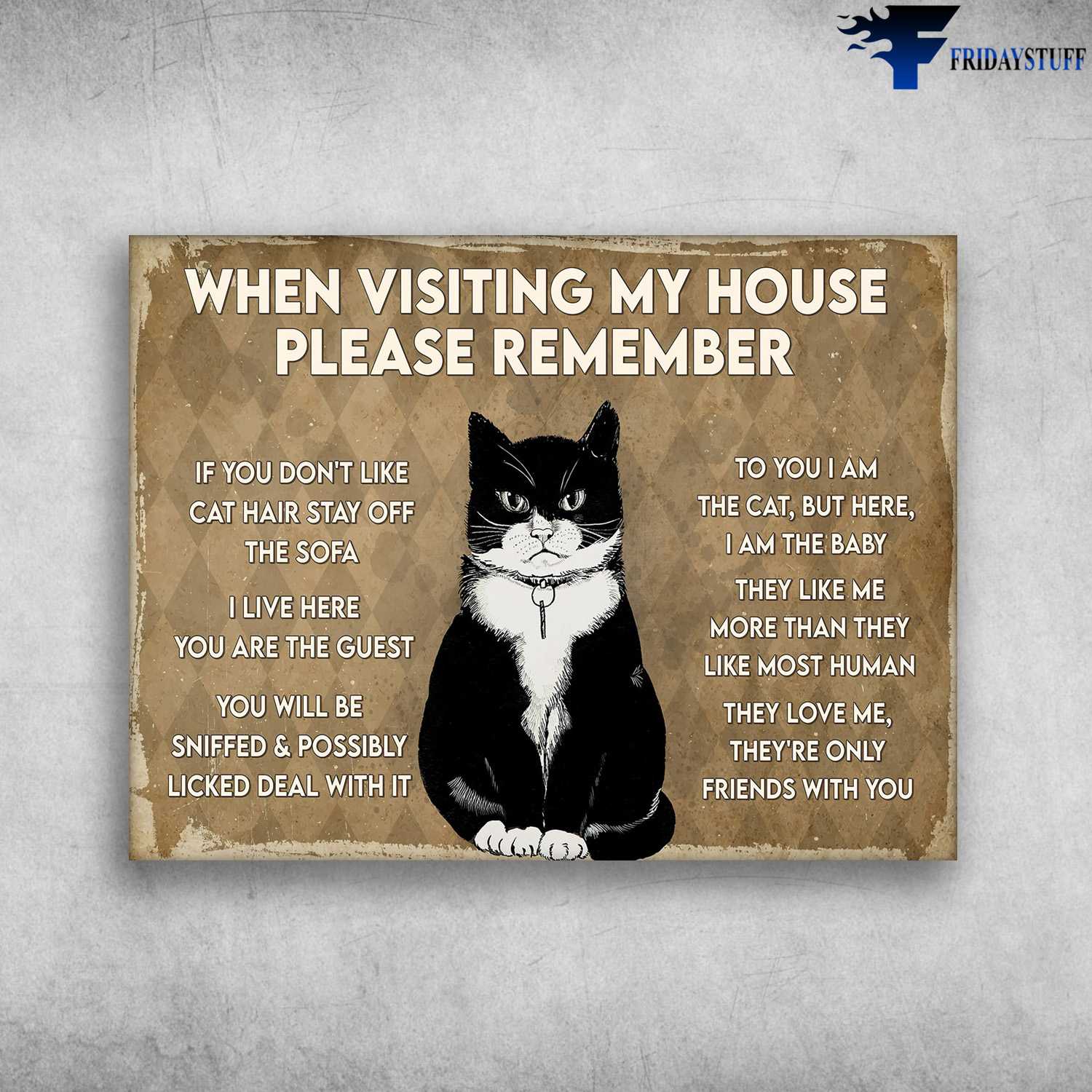 Tuxedo Cat, Cat Lover, When Visiting My House, Please Remember, If You Don't Like Cat Hair, Stay Off The Sofa, I Live Here You Are The Guest, You Will Be Sniffed And Possibly, Licked Deal With It