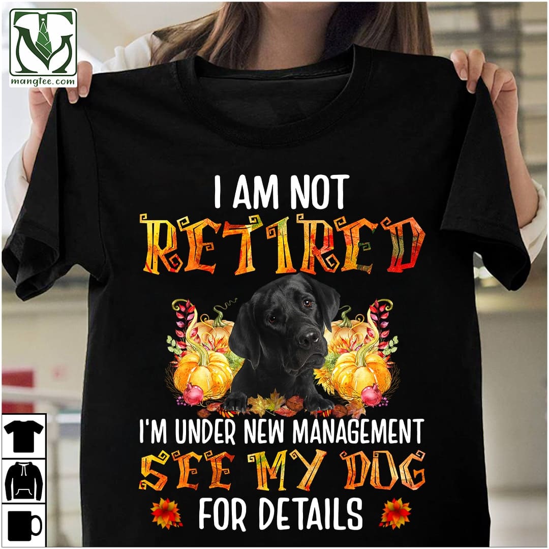 Labrador Pumpkin - I am not retired i'm under new management see my dog for details