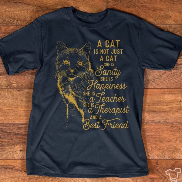 A cat is not just cat - Cat the happiness, teacher and therapist, cat my best friend