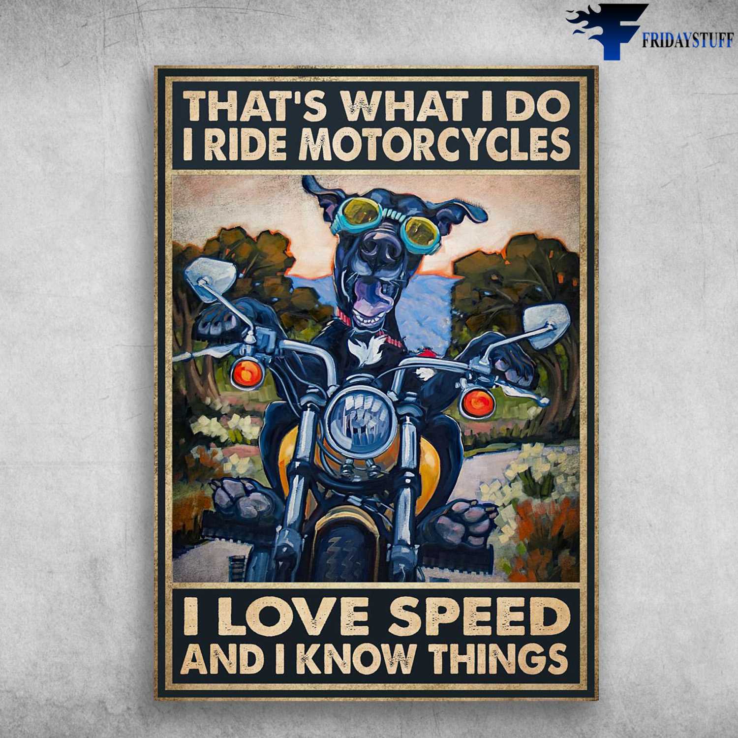 Dog Biker, Motorcycle Riding, That;s What I Do, I Ride Motorcycles, I Love Speed, And I Know Things