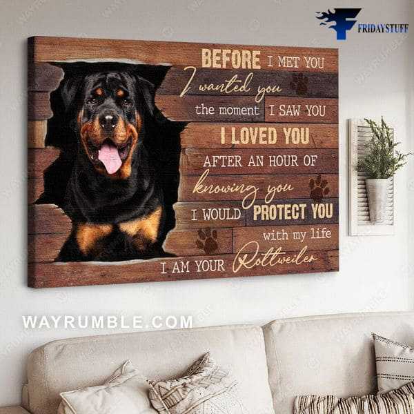 Dog Lover, Rottweiler Dog, Before I Met You, I Wanted You The Moment I Saw You, I Love You After An Hour Of Knowing You, I Would Protect You With My Life