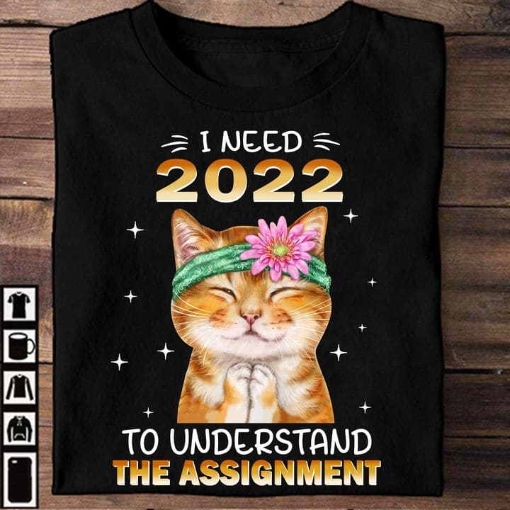 I need 2022 to understand the assignment - Gorgeous kitty cat, Happy new year 2022