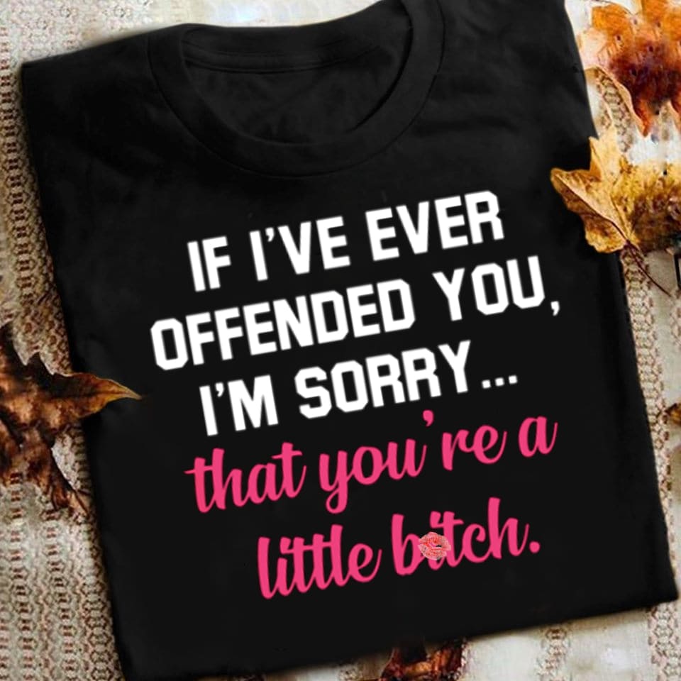 If I've ever offended you, I'm sorry that you're a little bitch - Bitch hater
