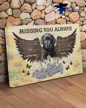 Labrador Dog, Dog Lover, Missing You Always, You Never Said I'm Leaving, You Never Said Goodbye, We Knew It, I Love You