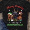 Merry pawmas to the best dachshund mom ever - Christmas ugly sweater, gift for dog mom