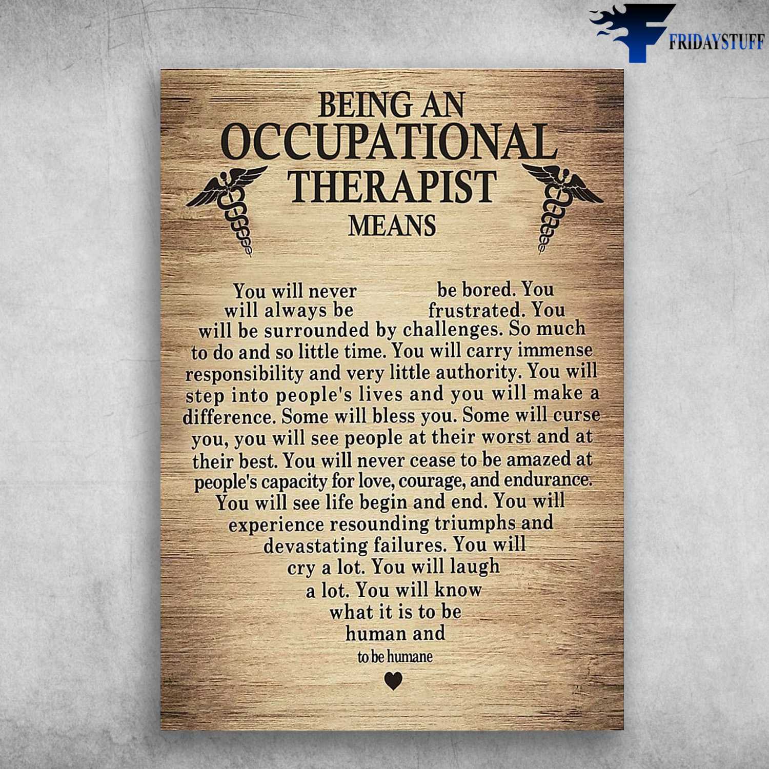 Occupational Poster, Being An Occupational Therapist Means, You Will Never Be Bored, You Will Always Be Frustrated, You Will Be Surrounded By Challenges, So Much To Do And So Little Time