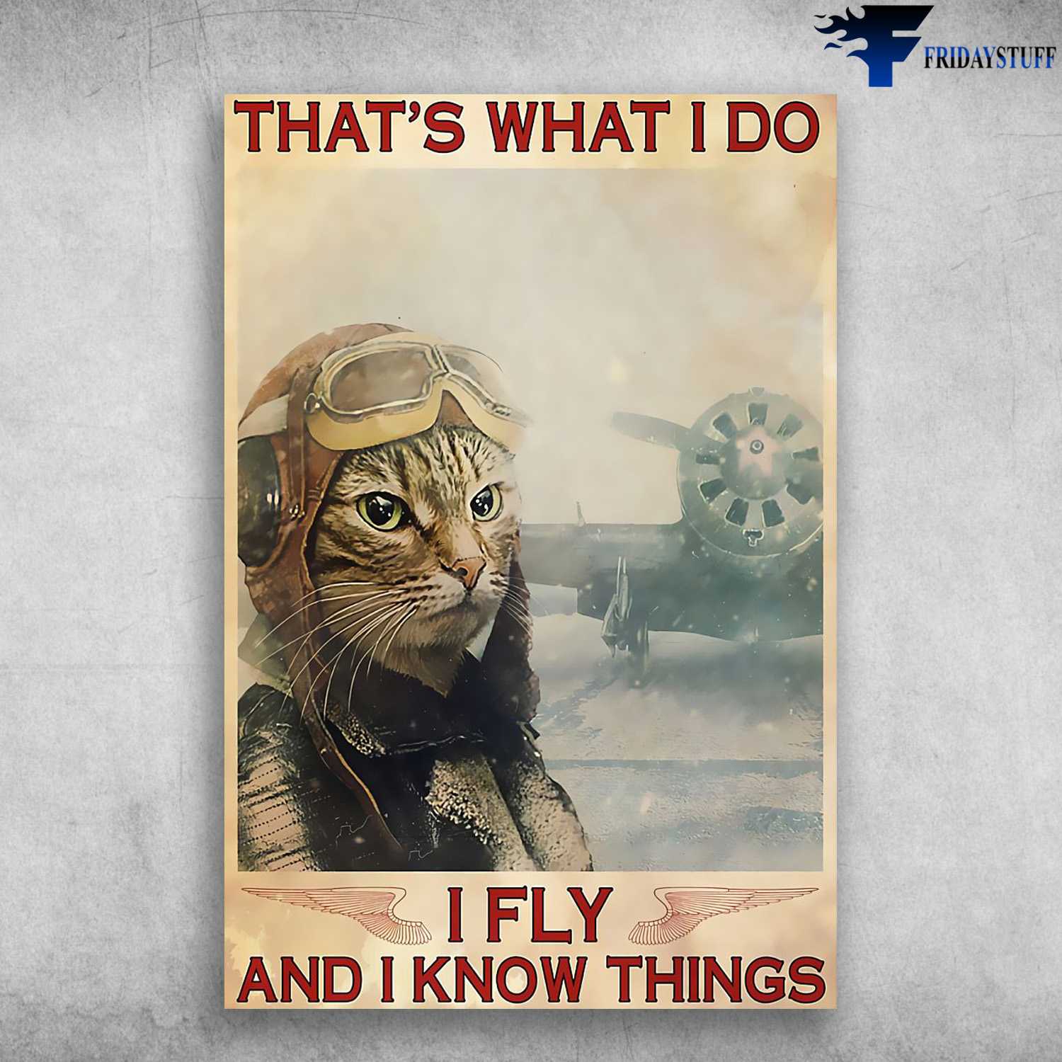 Pilot Gift, Pilot Poster, Pilot Cat, That's What I Do, I Fly, And i Know Things