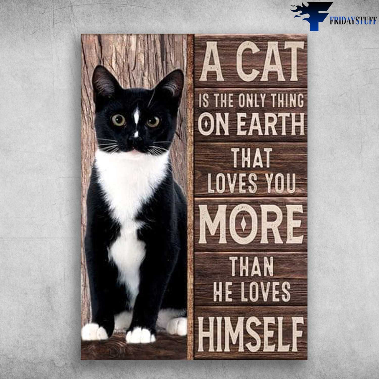 Tuxedo Cat Poster, Tuxedo Cat, A Cat Is The Only Thing On Earth, That Loves You More Than He Loves Himself